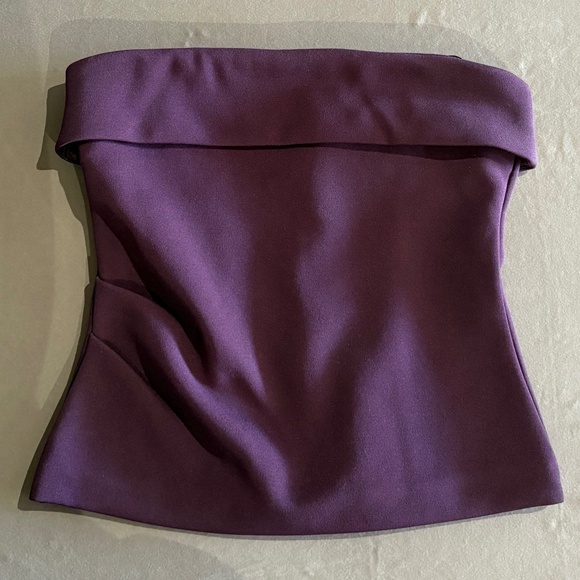 Aritzia Babaton tube top - Picture 1 of 5